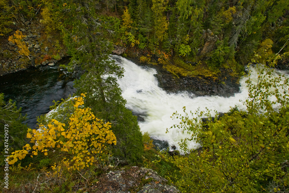Cliff, stone wall, forest, waterfall and wild river panoramic view in autumn. Fall colors - ruska time in Myllykoski. Karhunkierros Trail, Oulanka National Park in north Finland. Lapland, Europe Cliff, stone wall, forest, waterfall and wild river panoramic view in autumn. Fall colors - ruska time in Myllykoski. Karhunkierros Trail, Oulanka National Park in north Finland. Lapland, Europe