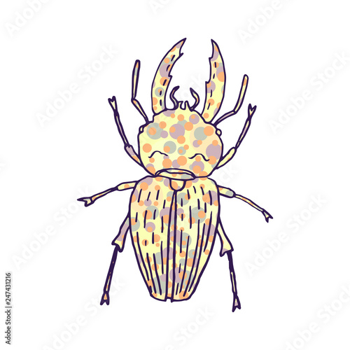 woodcutter beetle vector doodle sketch isolated on white background