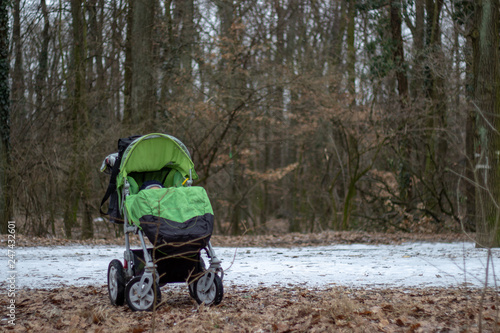 stroller in the forest © Hosak