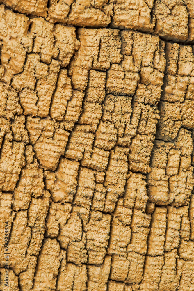 Very Old Wood covered with paint Background, closeup. Old and old wood texture close up. backgrounds, texture is a very old wood covered with paint in the process of prolonged natural decomposition. Very Old Wood covered with paint Background, closeup. Old and old wood texture close up. backgrounds, texture is a very old wood covered with paint in the process of prolonged natural decomposition.