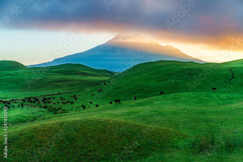 sunrise over green grass, cone volcano mt taranaki, new zealand 7