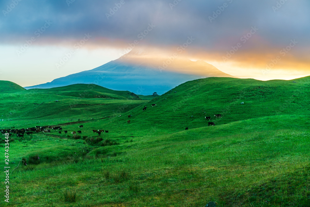 sunrise over green grass, cone volcano mt taranaki, new zealand 9