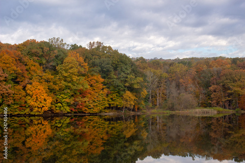 The lake in Fall