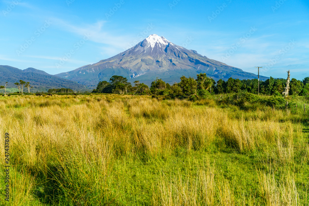 Cone volcano mount taranaki, new zealand 8