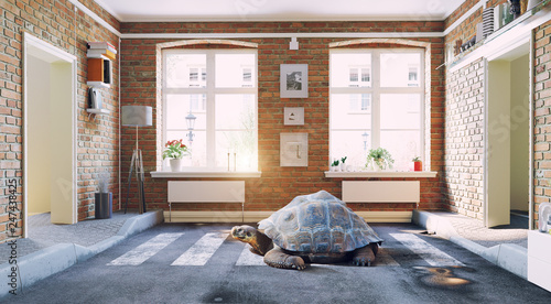 the asphalt road cross the living room and the turtle..