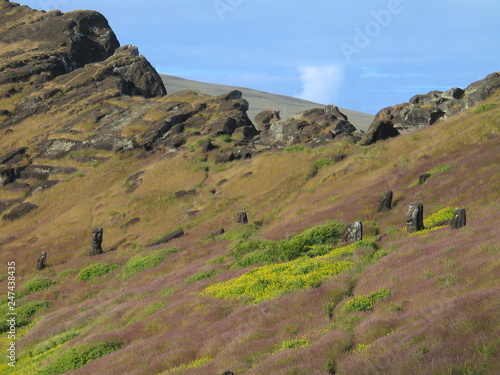 Fototapeta Naklejka Na Ścianę i Meble -  Moais of Eastern Island. Chile