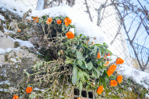 Lo bonito del invierno en Luesia España photo