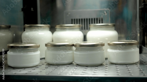 Glass containers with milk in cold store. Group of milk jars with metal lids. How to make healthy kefir at home.