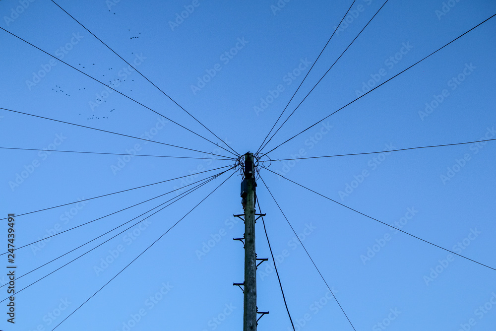 A single pole with many cables around connected into one knot against the sky. The cables are looking like rays around the top of the pole. A single pole with many cables around connected into one knot against the sky. The cables are looking like rays around the top of the pole.