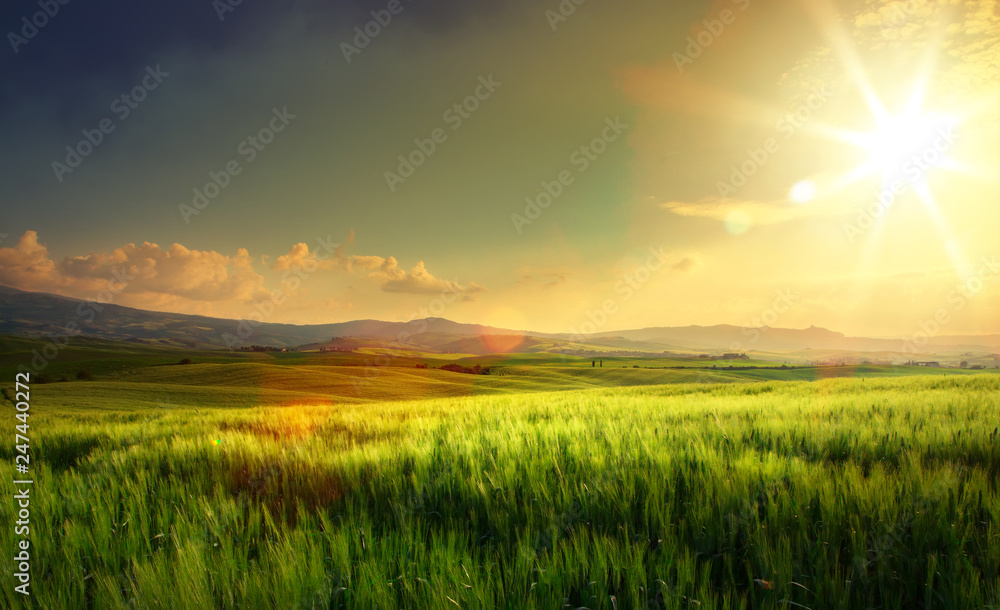 Fototapeta wiosenne pola uprawne i wiejska droga; toskania okoliczne wzgórza