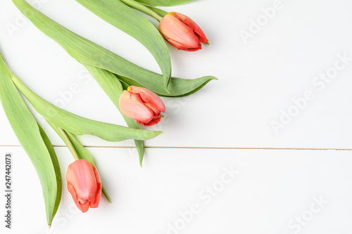 Fototapeta Naklejka Na Ścianę i Meble -  Three red tulips on a white wooden background, flat lay view from above, with space for text, for Valentine's or Mother's Day