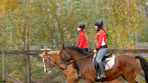 Two pretty girls riding horses at farm. Young female riders galloping horses at ranch, side view. Horse riding course.