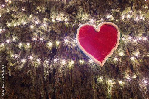Red heart with lights on spruce and pine background. Valentine's Day. Symbol of love. Copy space.