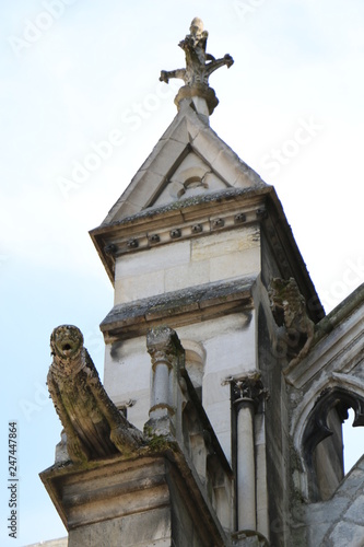 Gargoyle sculpture, statue. Gothic, historic Cathedral of Our Lady of Reims. Notre-Dame de Reims. Marne, Champagne-Ardenne, France photo