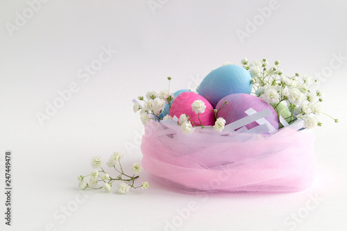 Easter color painted eggs on a white background.
