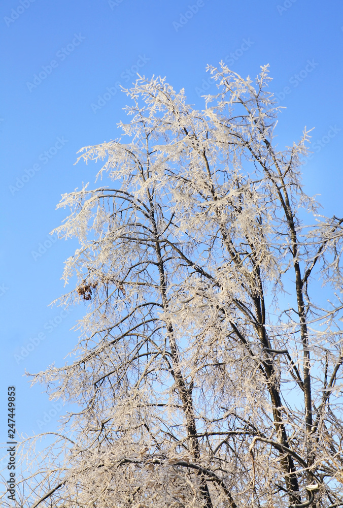 Tsaritsyno park in Moscow after icy rain. Russia Tsaritsyno park in Moscow after icy rain. Russia