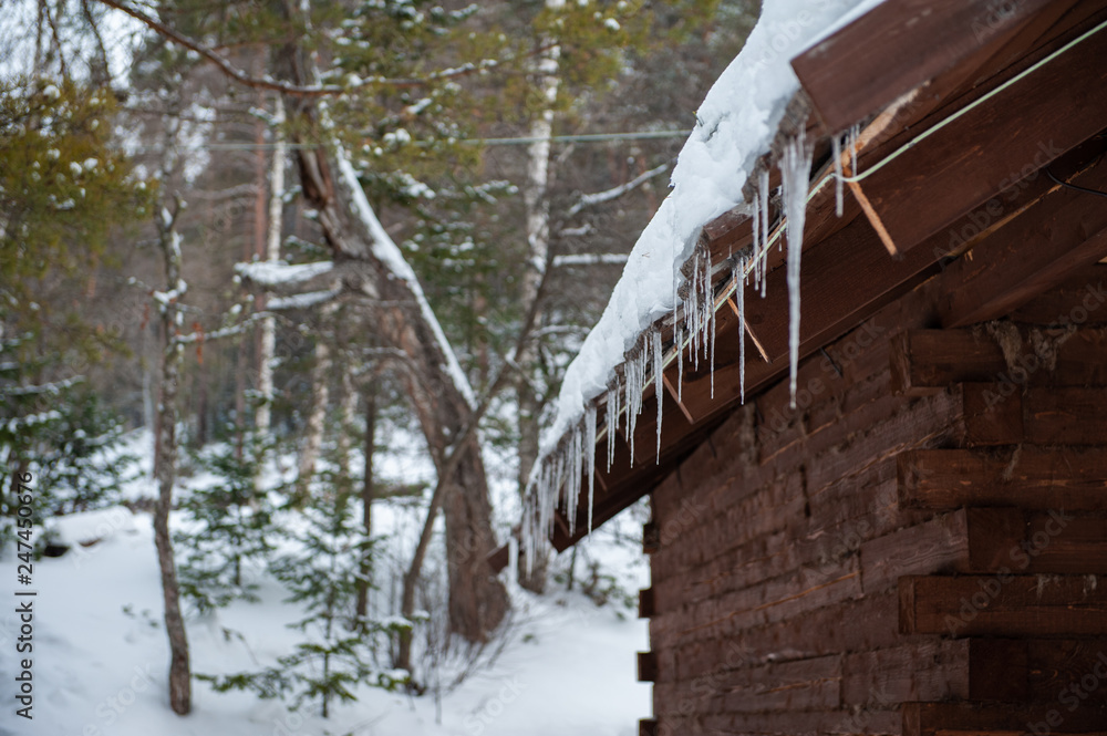 Closeup photo of the Icicles hang from the roof of wooden house Closeup photo of the Icicles hang from the roof of wooden house
