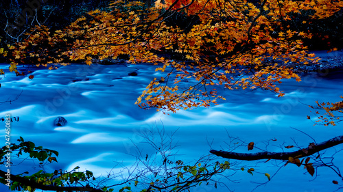 Oirase Gorge beautiful river druing the autumn season, Japan photo