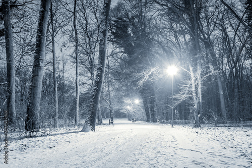 park zimą w nocy Wyspa Bolko w Opolu