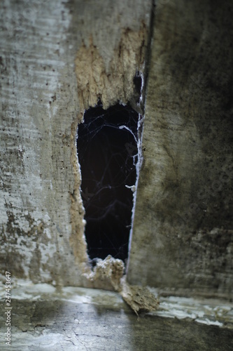 Old house abandonned in France photo