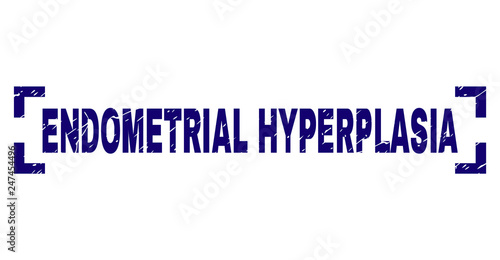 ENDOMETRIAL HYPERPLASIA text seal print with distress texture. Text caption is placed between corners. Blue vector rubber print of ENDOMETRIAL HYPERPLASIA with dirty texture.