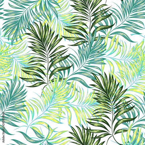 Seamless pattern of a tropical palm tree  jungle leaves. Vector floral pattern.