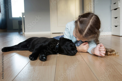 Pet dog labrador and little girl love each other © Vitalinka