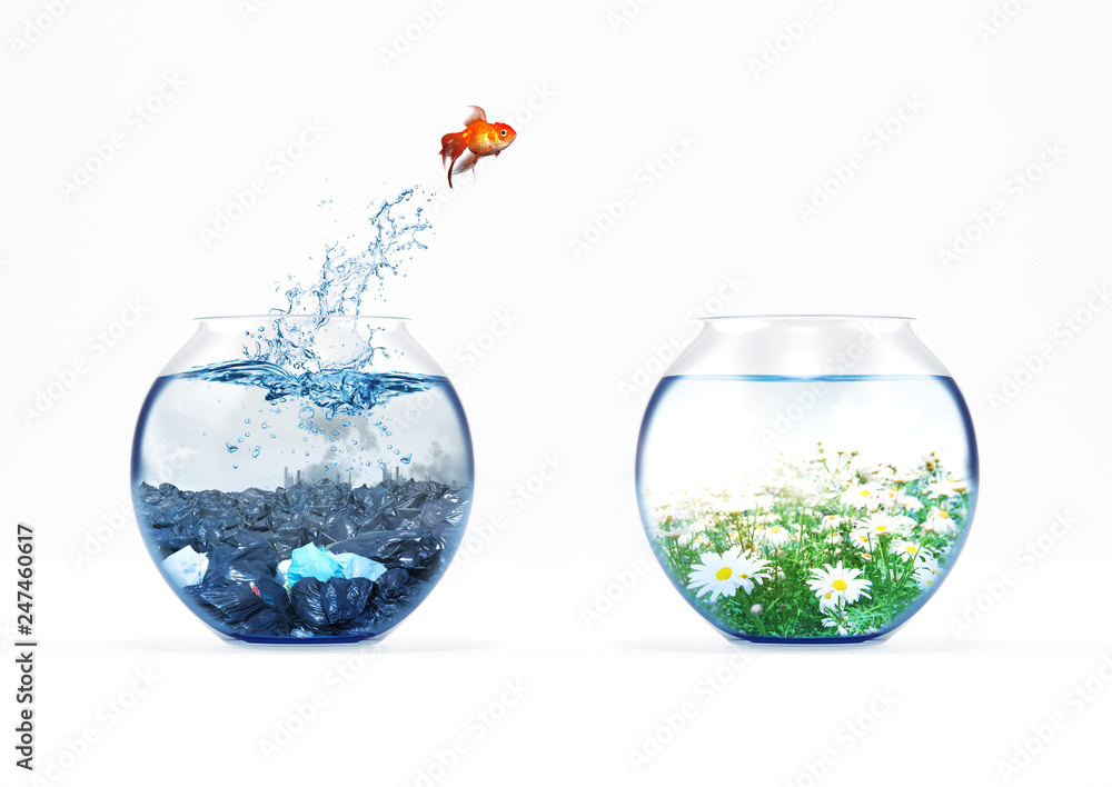 Improvement and moving concept with a goldfish jumping from a dirty aquarium to a clean one Improvement and moving concept with a goldfish jumping from a dirty aquarium to a clean one