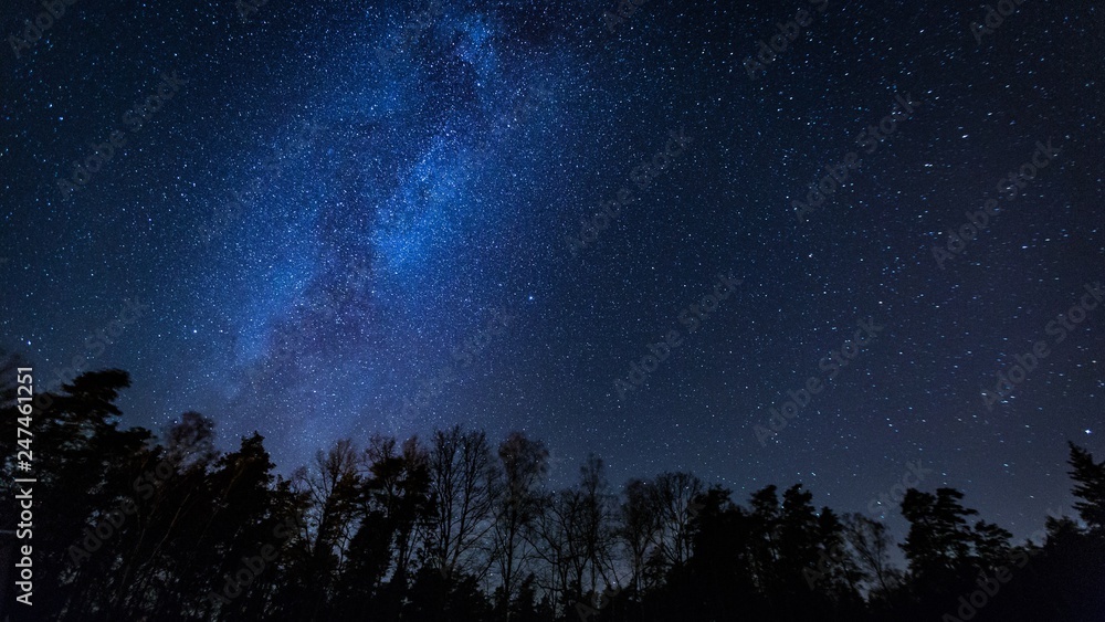 Beautiful night sky with Milky Way over forest.