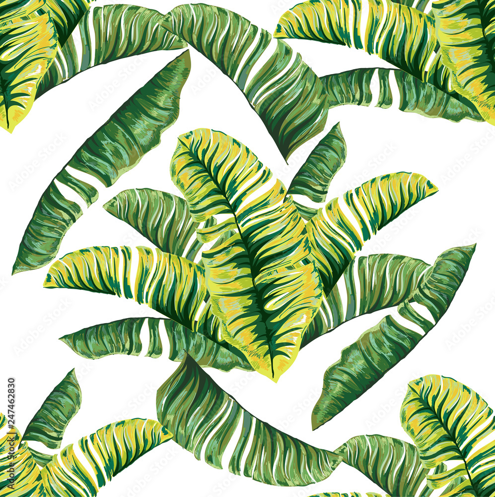 Fototapeta Jednolite wzór tropikalnej palmy, liście dżungli. Wektorowy kwiecisty wzór.