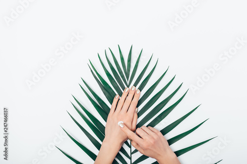 Flat lay composition female's hands apply cosmetic cream