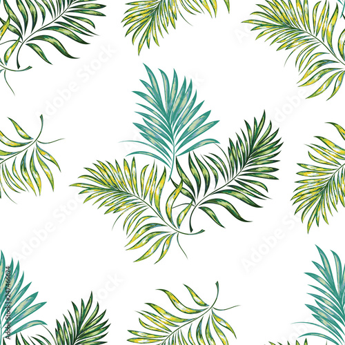 Seamless pattern of a tropical palm tree  jungle leaves. Vector floral pattern.