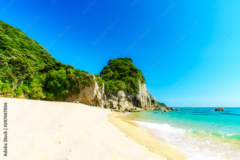 Fototapeta premium tropical beach in abel tasman national park, new zealand 5