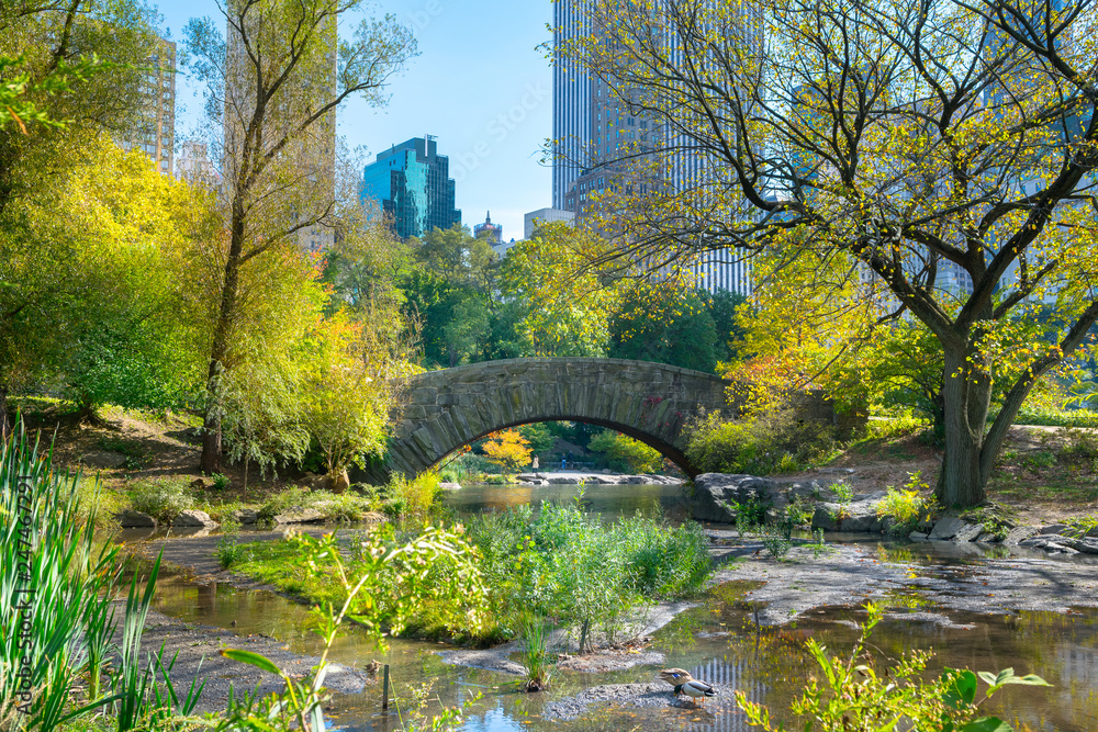Beautiful autumn day in Central Park - New York, USA