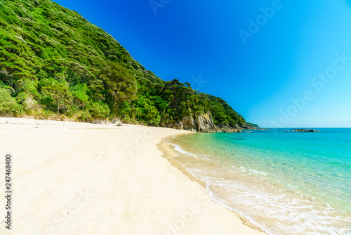 tropical beach in abel tasman national park, new zealand 17