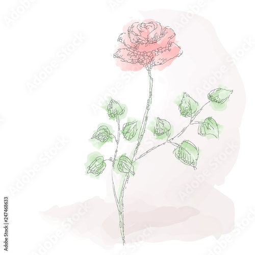 vector background with delicate flowers
