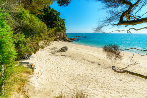 tropical beach in abel tasman national park  new zealand 25