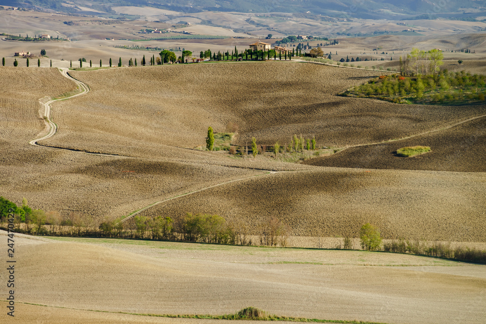 Obraz premium Autumn in Italy. Yellow plowed hills of Tuscany with interesting shadows and lines