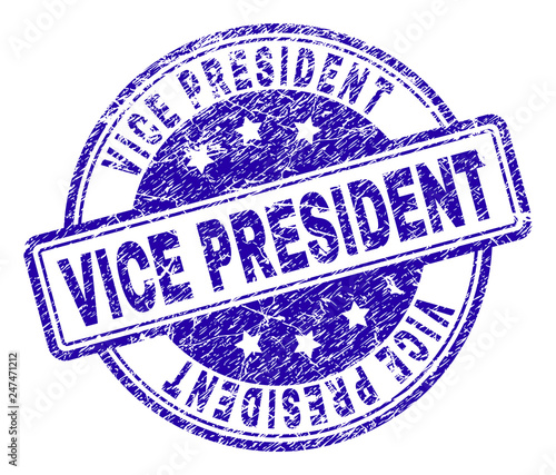 VICE PRESIDENT stamp seal watermark with grunge texture. Designed with rounded rectangles and circles. Blue vector rubber print of VICE PRESIDENT text with grunge texture.
