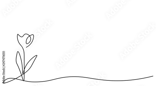 Tulips isolated on white background one lines drawing  vector illustration.