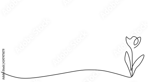 Tulips background one lines drawing, vector illustration.