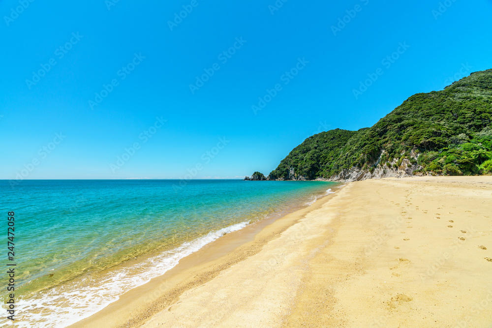 tropical beach in abel tasman national park, new zealand 64