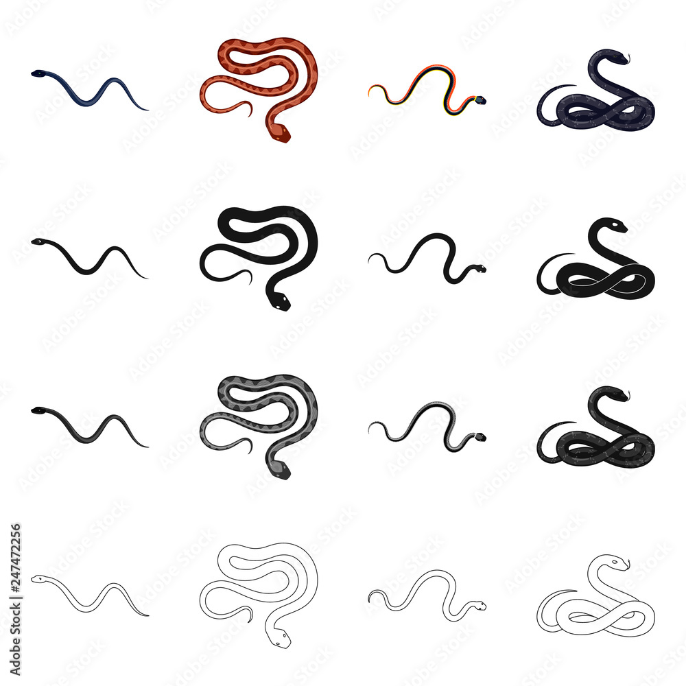 Vector illustration of mammal and danger icon. Collection of mammal and medicine stock vector illustration. Vector illustration of mammal and danger icon. Collection of mammal and medicine stock vector illustration.