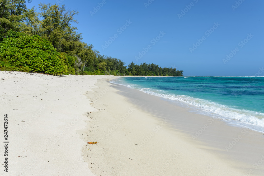 A tropical beach with white sand, clear water, tropical plants, and blue sky