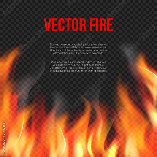 Fire background. Light of blazing flame on transparent background vector explosion vector template. Illustration of danger hell fire banner