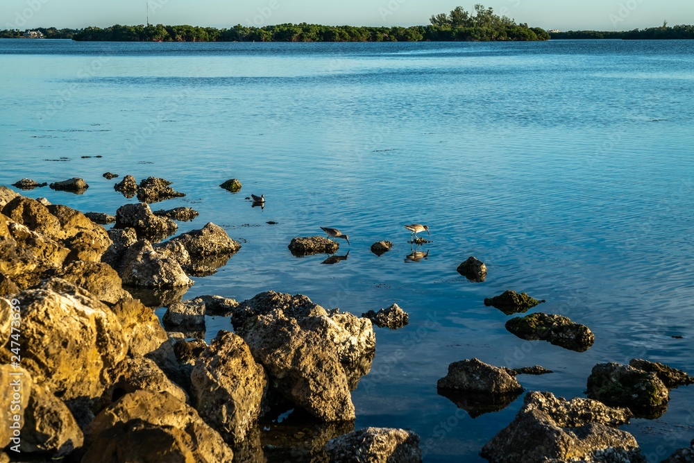 Φωτογραφία The magnificent beauty of Terra Ceia Aquatic Preserve in west central Florida