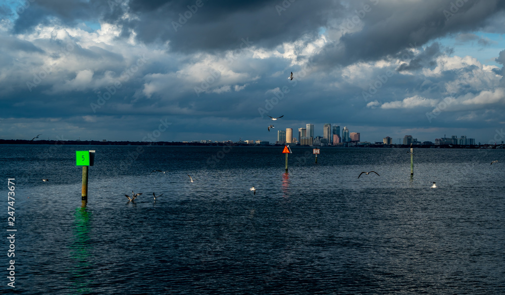 Φωτογραφία Just some of the magnificent beauty you can see from Ballast Point Park in Tampa Florida