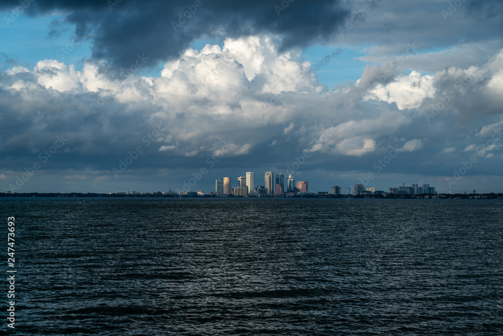Φωτογραφία Just some of the magnificent beauty you can see from Ballast Point Park in Tampa Florida