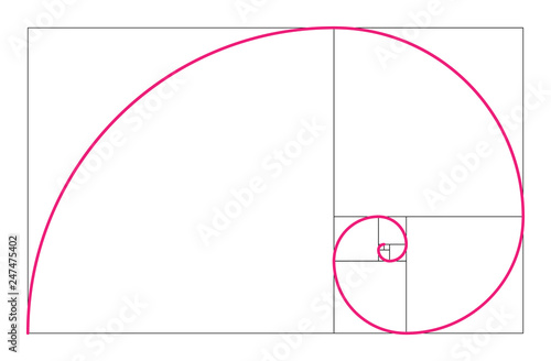 Golden ratio geometric concept. Pink Fibonacci spiral. Vector illustration