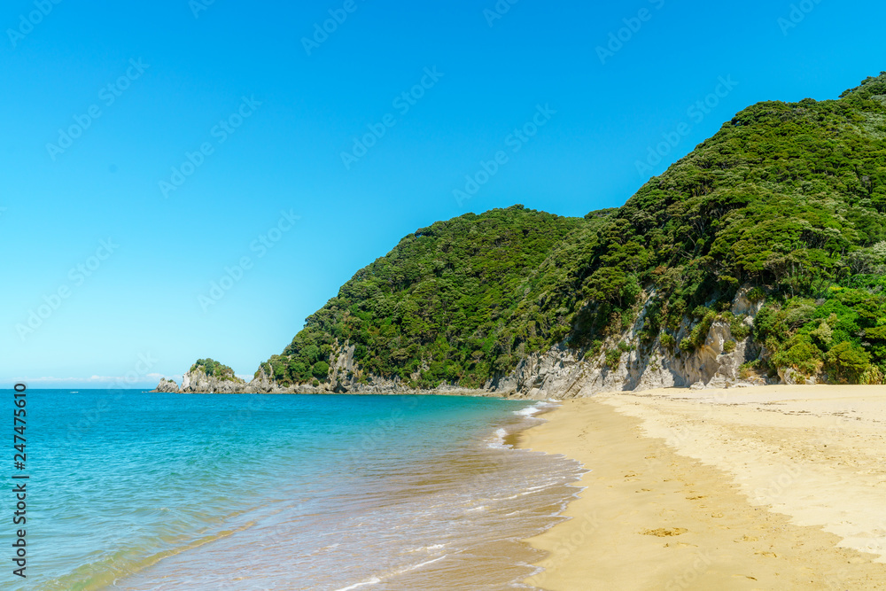 tropical beach in abel tasman national park, new zealand 80